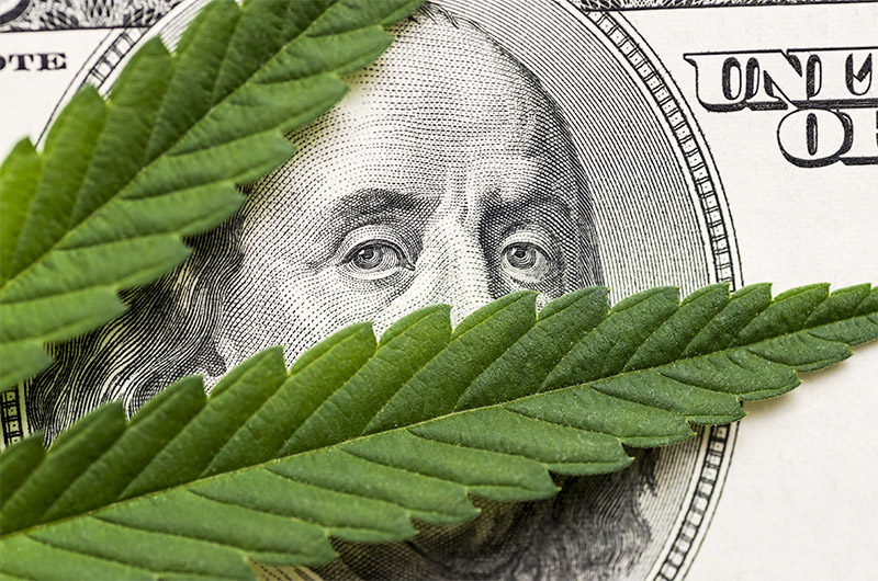 What Does Marijuana Legalization Mean For Commercial Real Estate CRE Members News